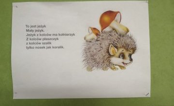 Smerfy poznały zachowania zwierząt w okresie jesieni. 