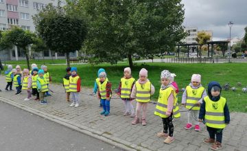 Czerwone światło - Stój!, zielone światło -  Idź!