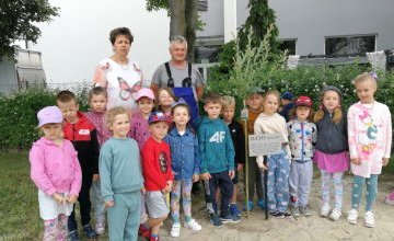Zuchy sadzą drzewko