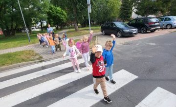 Pszczółki poznają zasady ruchu drogowego