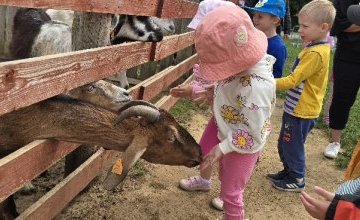 Wycieczka Krasnali do Krainy Alpak