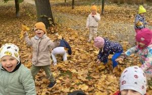 Zwierzęta przygotowują się do zimy- Pszczółki  (5)