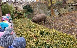 Wycieczka do ogrodu zoologicznego - grupa Zuchy  (5)