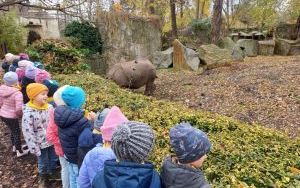 Wycieczka do ogrodu zoologicznego - grupa Zuchy  (1)