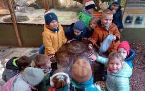 Słoneczka w Zoo (5)