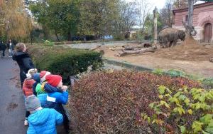 Słoneczka w Zoo (16)