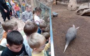 Słoneczka w Zoo (18)