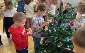 Pszczółki kultywują tradycje Bożego Narodzenia (8)