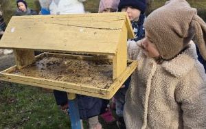 Rozmowy o ptakach w grupie Krasnale (10)