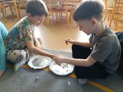 Słoneczka znają zasady bezpiecznej zabawy w zimie (8)