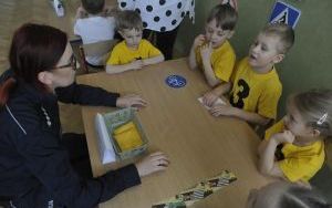 Bezpieczeństwo na drodze (12)