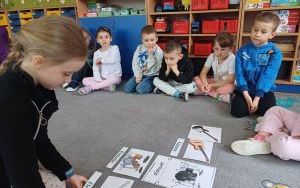 Zuchy w krainie muzyki (6)
