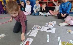 Zuchy w krainie muzyki (7)