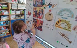 Zuchy w krainie muzyki (3)