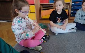 Zuchy w krainie muzyki (2)