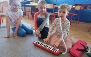 Zuchy w krainie muzyki