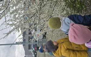 Krasnale i zwierzęta (3)