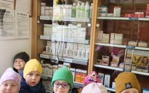 Pszczółki dbają o zdrowie -praca lekarza (3)