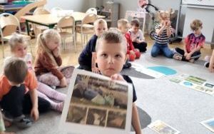 Pszczółki dbają o naszą planetę (9)