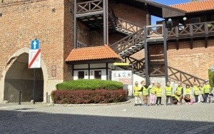 Krasnale i Oleśnica (17)
