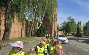 Krasnale i Oleśnica (15)