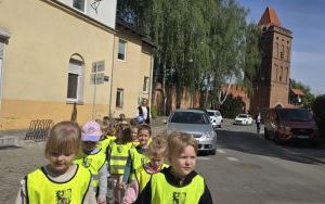Krasnale i Oleśnica (14)