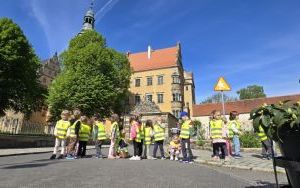 Krasnale i Oleśnica (9)