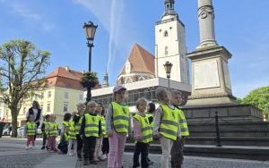 Krasnale i Oleśnica (7)