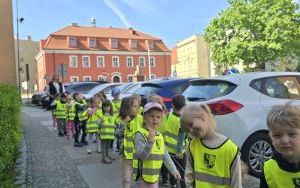 Krasnale i Oleśnica (2)