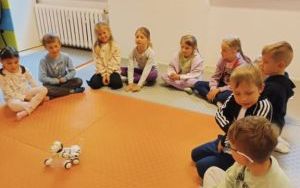Warsztaty z robotyki - grupa Zuchy (2)