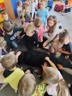Aktywne Słoneczka (5)