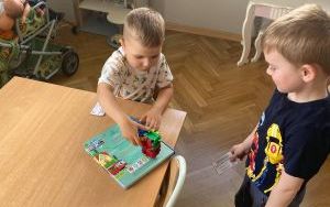 „Pszczółki” w świecie książek  (9)