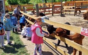 Wycieczka do Krainy Alpak - grupa Zuchy (3)