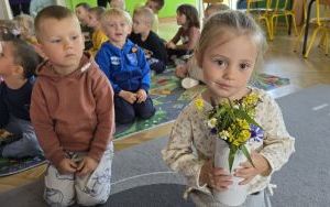 „Kubuś Puchatek" i łąka w grupie Krasnali (1)