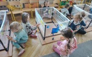 "Skąd się bierze miód?"  (5)