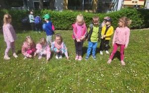 Pszczółki poznają łąkę (5)