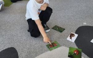Pszczółki poznają łąkę (13)