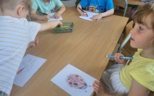 Pszczółki poznają łąkę (15)