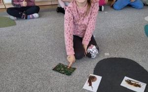 Pszczółki poznają łąkę (15)