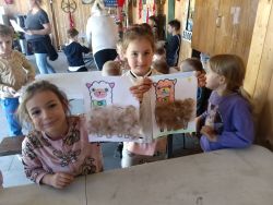Słoneczka w Krainie Alpak (6)