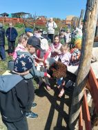 Słoneczka w Krainie Alpak (13)