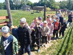 Słoneczka w Krainie Alpak (10)