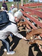 Słoneczka w Krainie Alpak (5)