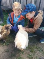 Słoneczka w Krainie Alpak (11)