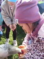 Słoneczka w Krainie Alpak (13)