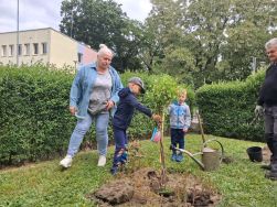 Słoneczka sadzą drzewo (1)