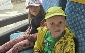 Krasnale w lesie (6)