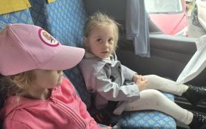 Krasnale w lesie (4)