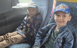 Krasnale w lesie (2)
