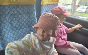 Krasnale w lesie (1)